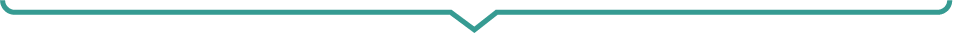 Step1 border bottom